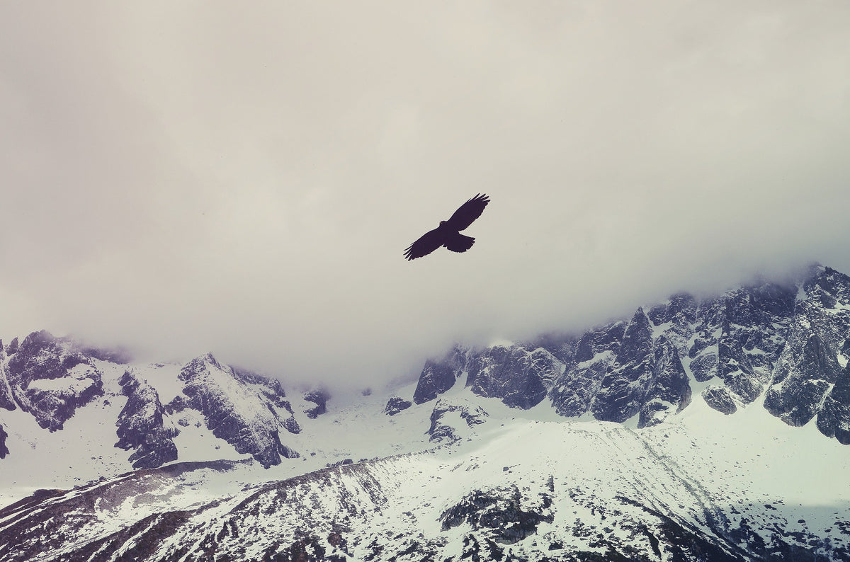 Group Therapy vs. Individual: When Is It Time to Try Something New?