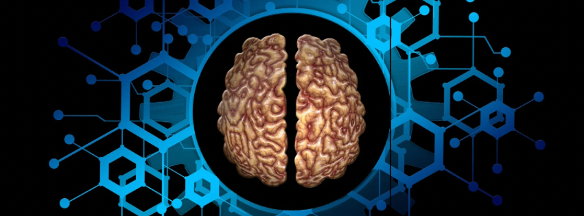 How mindfulness changes the brain and improves life? Latest discoveries!