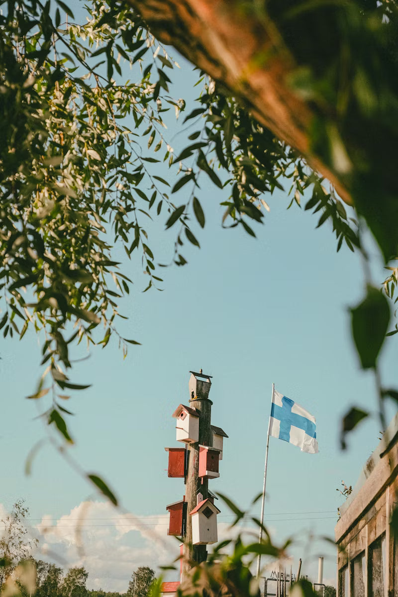 The Finnish matter